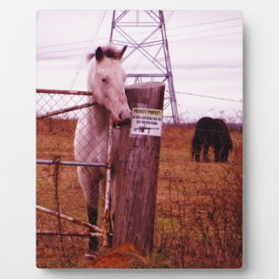 Private Property lavender Horse Plaque