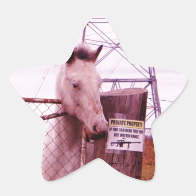 Private Property lavender Horse Star Sticker (Front)