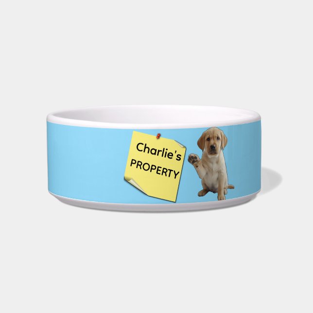 Private Property of... Bowl (Front)