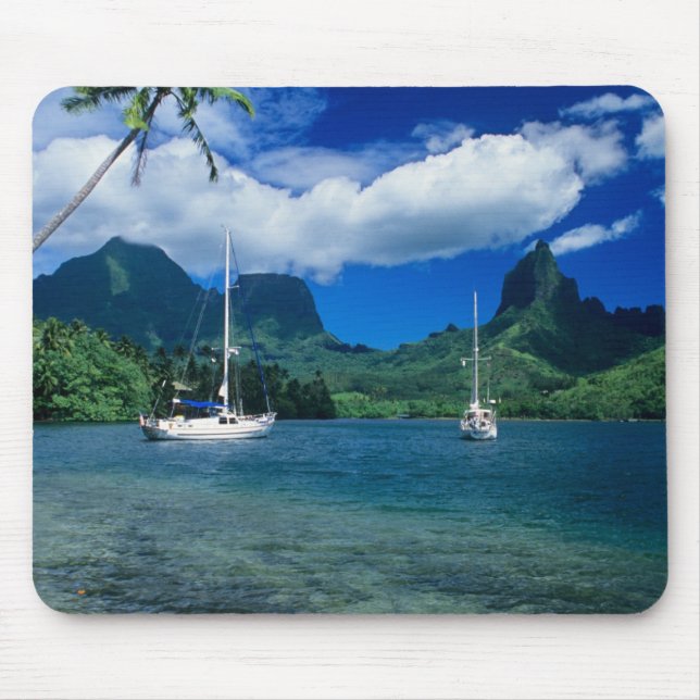 Private yachts anchored in Opunohu Bay on the Mouse Mat (Front)