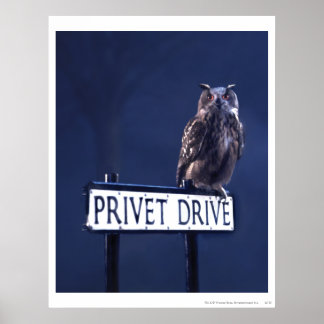 Privet Drive Poster