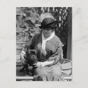 Prize Bulldog, 1910s Postcard