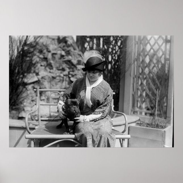 Prize Bulldog: 1914 Poster (Front)