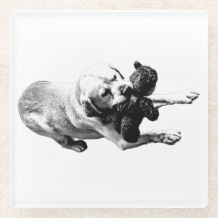 Prize Grip Glass Coaster