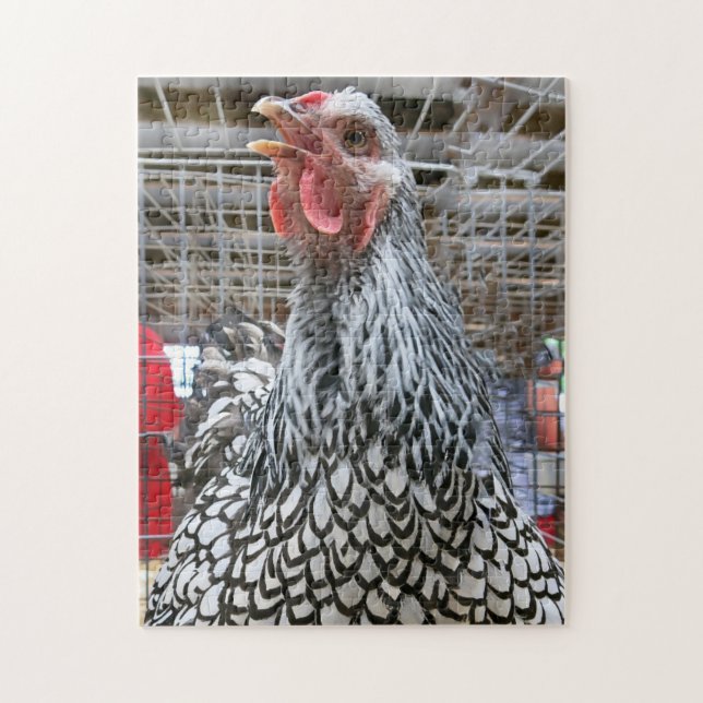 Prize Winning Chicken Jigsaw Puzzle (Vertical)