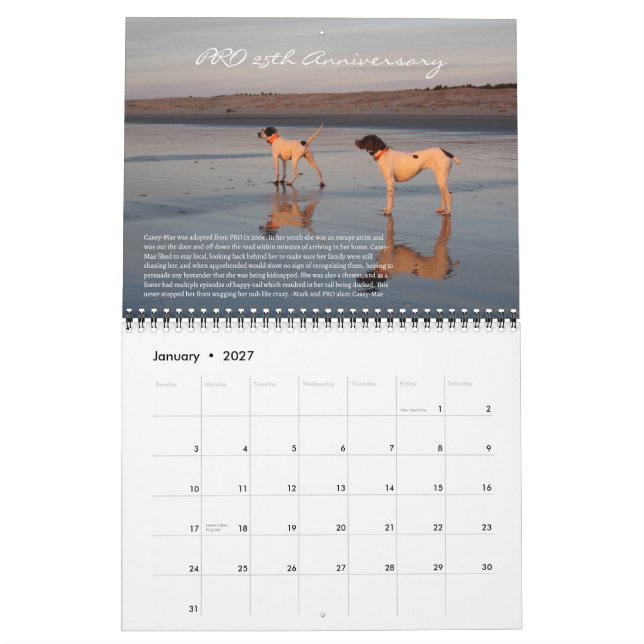 PRO 2025 25th Anniversary Calendar (Jan 2027)