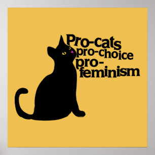 pro-cats pro-choice pro-feminism poster
