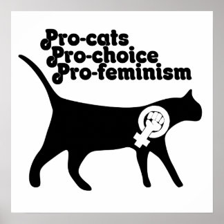 Feminism Posters | Zazzle.co.uk