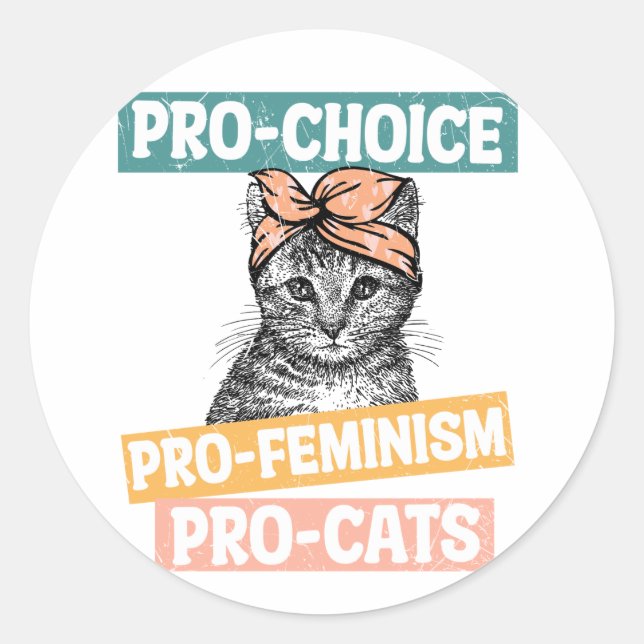 Pro Choice Pro Feminism Pro Cats Classic Round Sticker (Front)