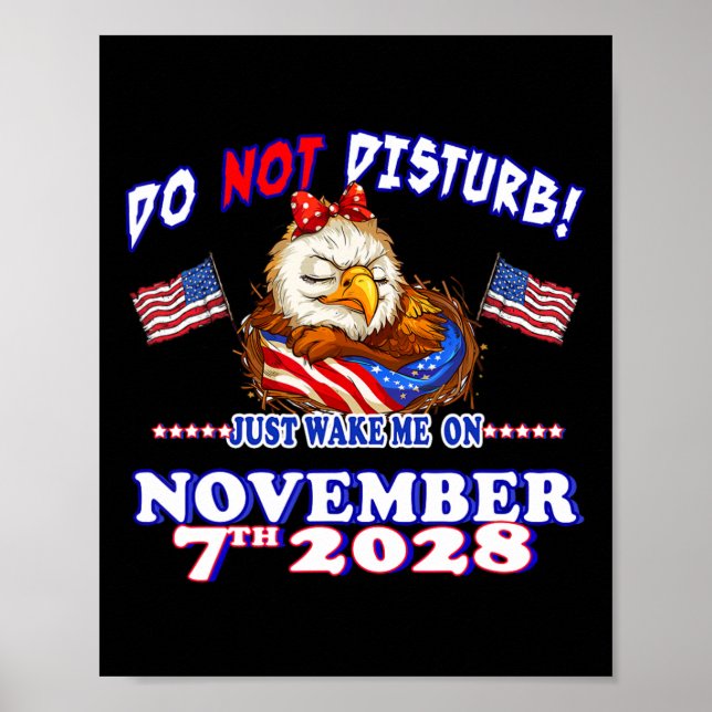 Pro Democracy Fourth July 4th Sarcastic Election E Poster (Front)