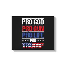 Pro God Pro Gun Pro Life Pro Trump Election