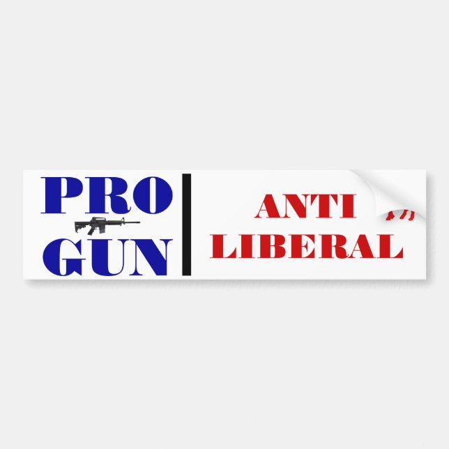 Pro Gun, Anti Democrat Bumper Sticker (Front)