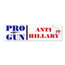 Pro Gun, Anti Obama, Anti Hillary, Anti Democrat