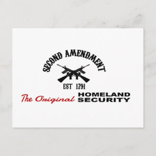 PRO GUN: ORIGINAL HOMELAND SECURITY 2nd AMENDMENT Postcard