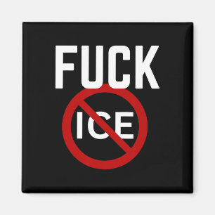 Pro Immigrant Anti Ice Anti Discrimination Anti Tr Magnet