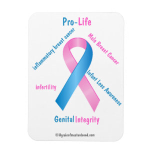 Pro-Life Awareness Magnet