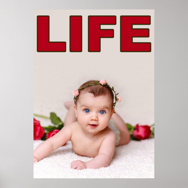 PRO-LIFE BABY GIRL INFANT ROSES POSTER (Front)