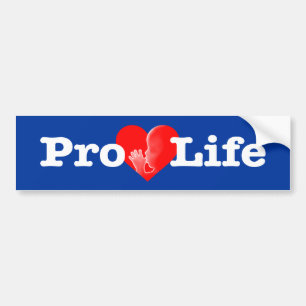 “PRO-LIFE” BUMPER STICKER