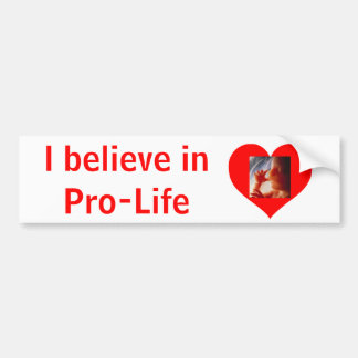 Pro-Life Bumper Sticker