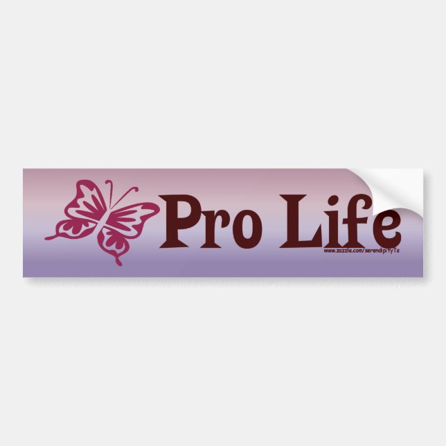 Pro Life Bumper Sticker (Front)