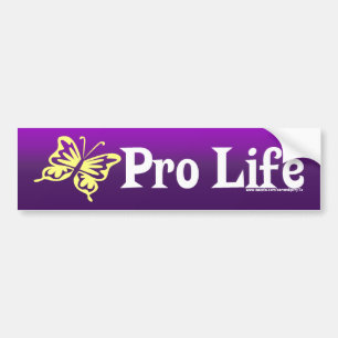 Pro Life Bumper Sticker