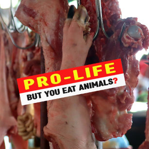 Pro-Life But You Eat Animals?,  Bumper Sticker