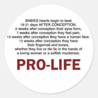 Pro-Life Classic Round Sticker