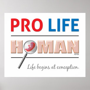 Pro Life Human Poster