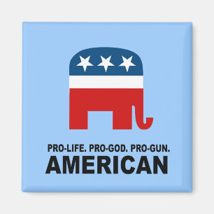 Pro-life. Pro-God. Pro-Gun American Magnet
