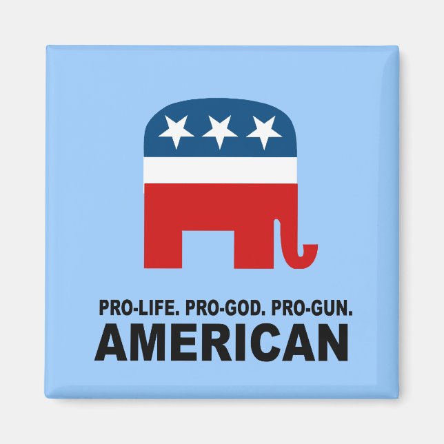 Pro-life. Pro-God. Pro-Gun American Magnet (Front)