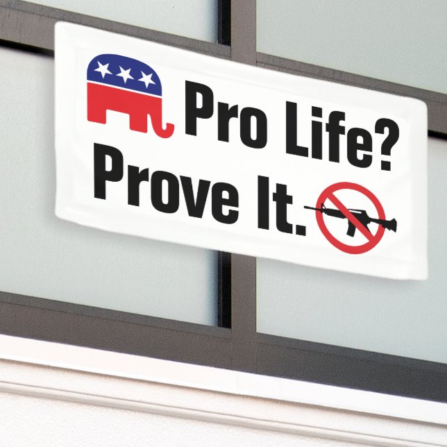 Pro Life? Prove It - Ban Assault Weapons Banner (Outside Building)