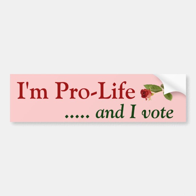 Pro Life Voter Bumper Sticker (Front)