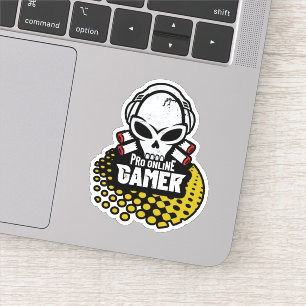 Pro Online Gamer