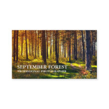 Pro Photography (Forest)