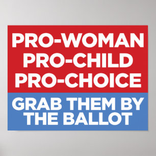 Pro-Woman Pro-Child Pro-Choice 16x12 Window Poster