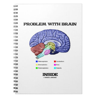 Problem With Brain Inside (Brain Anatomy) Notebook