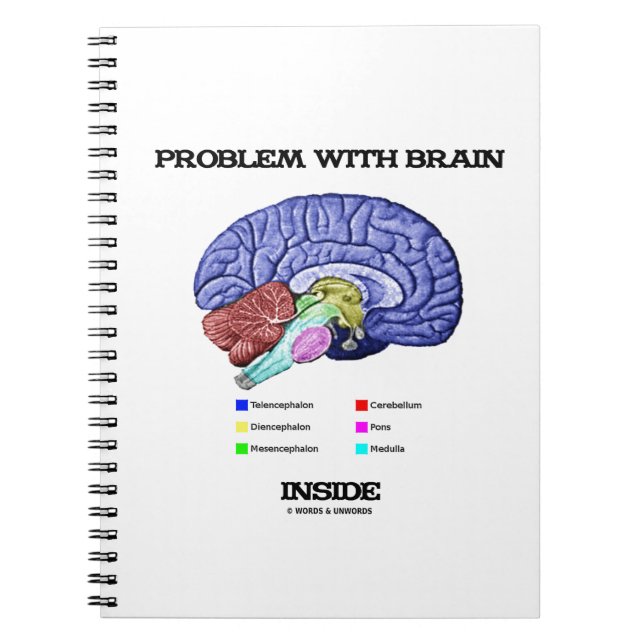 Problem With Brain Inside (Brain Anatomy) Notebook (Front)