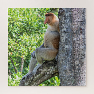 Proboscis Monkey Jigsaw Puzzle