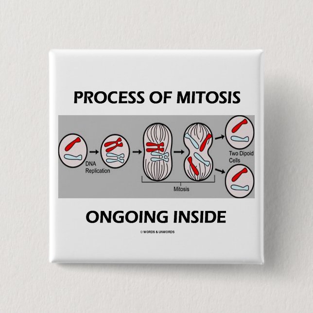 Process Of Mitosis Ongoing Inside 15 Cm Square Badge (Front)
