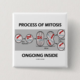 Process Of Mitosis Ongoing Inside 15 Cm Square Badge