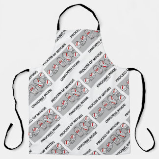 Process Of Mitosis Ongoing Inside Cell Division Apron