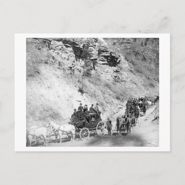 Procession of Stagecoaches Coming down Mountain Postcard (Front)