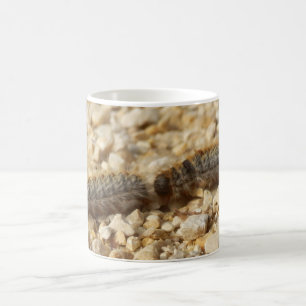 Processionary Caterpillars Bug Mug