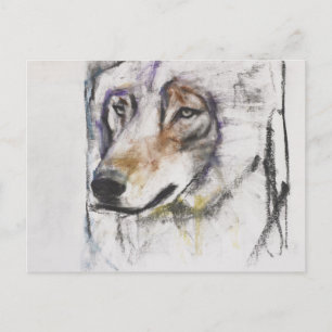 Processo Al Lupo Postcard