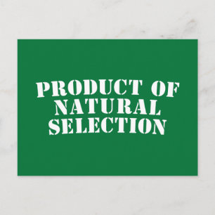 Product Of Natural Selection Postcard