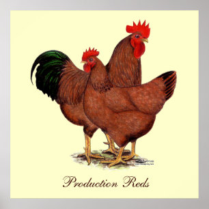Production Red Chickens Poster