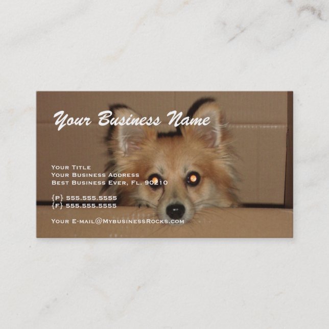 Professional Animal Grooming Business Cards (Front)