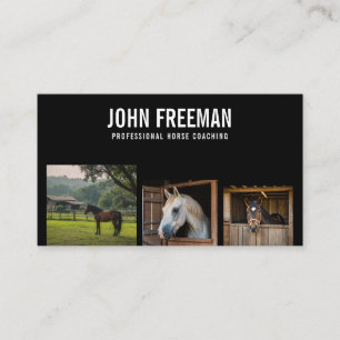 Professional Black & White Horse Photo Equine Business Card