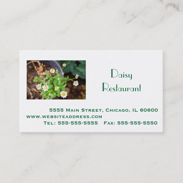 Professional Business, Address, Telephone, Website Business Card (Front)
