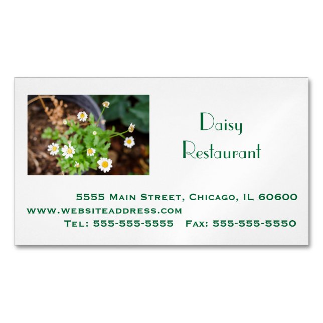 Professional Business, Address, Telephone, Website Magnetic Business Card (Front)